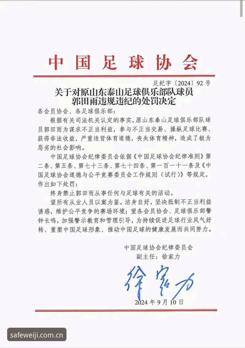 中国足协第三批禁足名单全面解析：行业腐败链条深度曝光